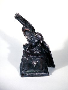 Aquila